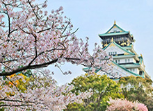 东亚杯日本队解析：主帅带上干儿子 考察奥运适龄